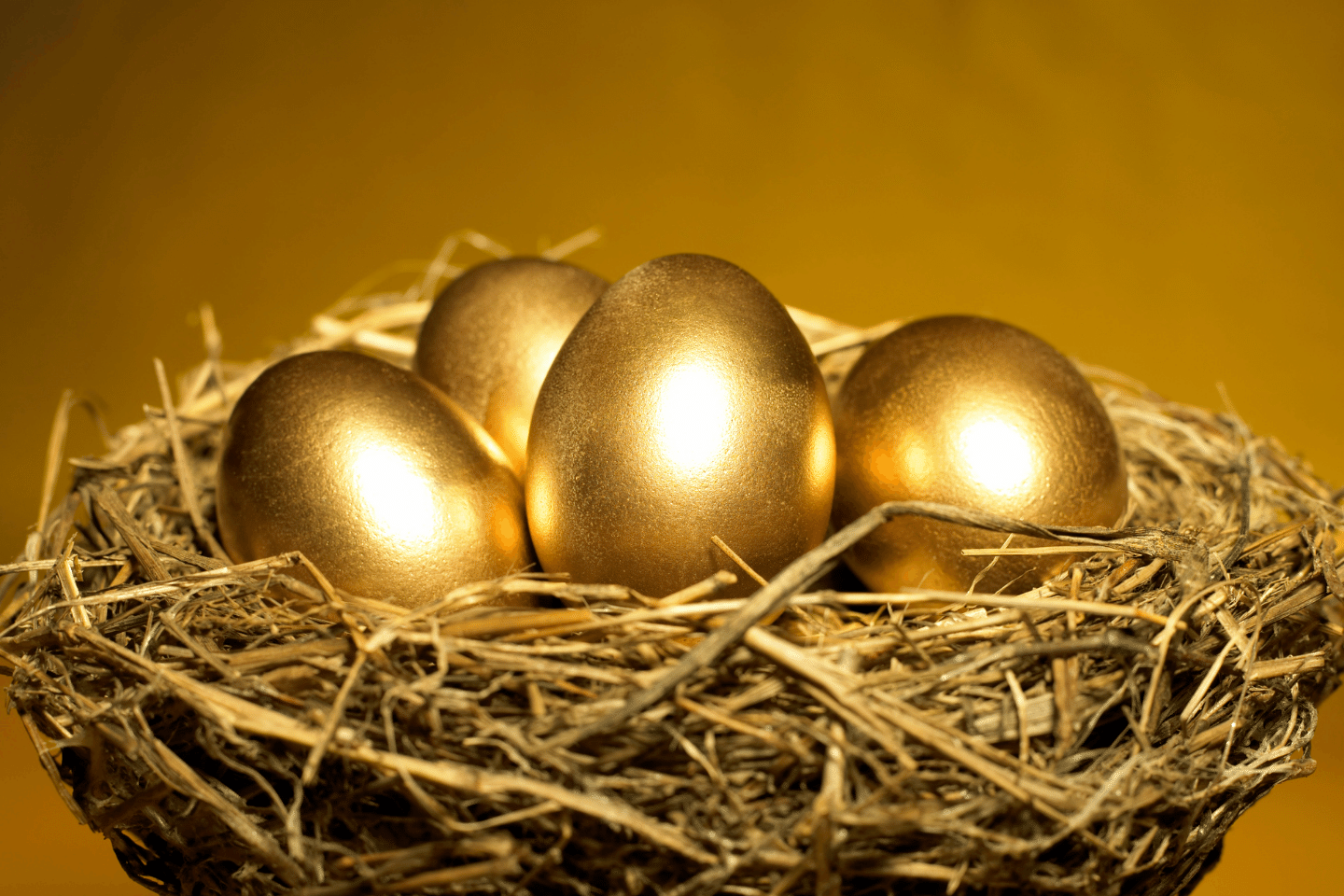 Golden Eggs in a Nest: Retirement Funding Concept